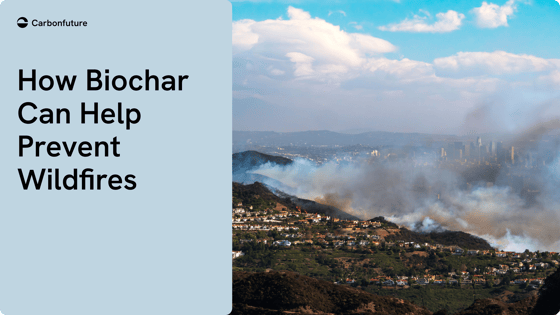 Biochar Wildfires-2